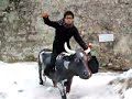 Ride on cattle