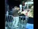 Dancing at Bin�rpilot