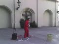 elvis elvis