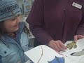 Butterfly Books