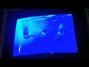 There are no fingerprints deep underwater. There are no fingerprints deep underwater.