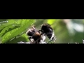 Bumblebee sort of music...