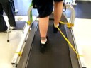 brad's walk