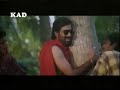 hai rey hai