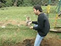 ooty.AVI ooty.AVI