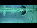 Swimming Thorpe Freestyle Slow Motion 2
