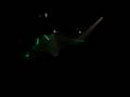 Megarave 06-09-08