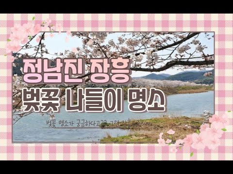 정남진 장흥 벚꽃 명소