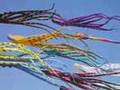 Berkeley Kite Festival 2007