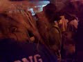 nativus do cumbe 2008