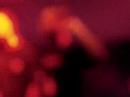 n�m�zik feat 2sang froid en live
