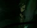 Big Sharks and Ocean Sunfish Big Sharks and Ocean Sunfish
