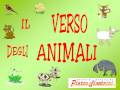 IL VERSO DEGLI ANIMALI - Canzoni per bambini di Pietro Diambrini