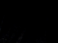 munny sokol park - creek at night - strobe light mode 2