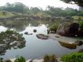 水前寺公園のUMA