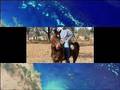 Assistir ao v�deo