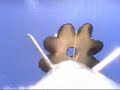 fus�e � eau vid�o embarqu� en musique ;))