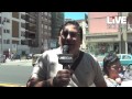 Continua la protesta La voce degli ex Pip