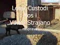 Cane Corso - Lotar Custodi Nos and Viktor Strajano Cane Corso - Lotar Custodi Nos and Viktor Strajano