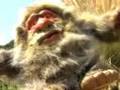 The Truth about Tonto