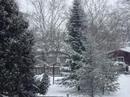 Snow