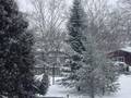 Snow