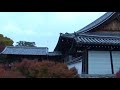 Red leaves in Kyoto (at Tofuku-ji) Red leaves in Kyoto (at Tofuku-ji)