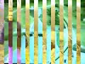 clip r�alis� par poubellator en 2003