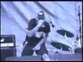 7000$ джугли зовут jungle are calling