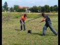 Film.wmv