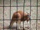 Zoo fun 2