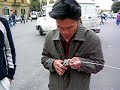 los chinos de Italia