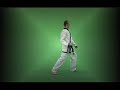 Tang Soo Do: A Visual Guide to Forms (TRAILER)