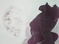 Winter in Monee 4