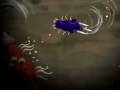 videos de SPORE - I Call Him Quill Butt