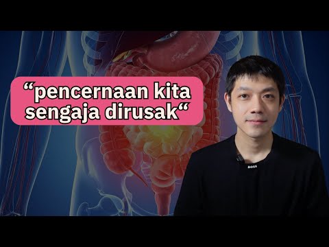 Panduan Lengkap Menyembuhkan SALURAN PENCERNAAN Secara SCIENTIFIC
