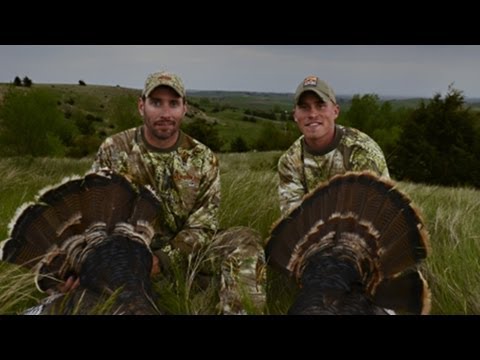 how to locate turkey roost