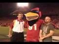 SPiN: Cy Dominates the Mascot Landscape