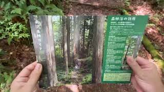 歩くたび、好きになる町