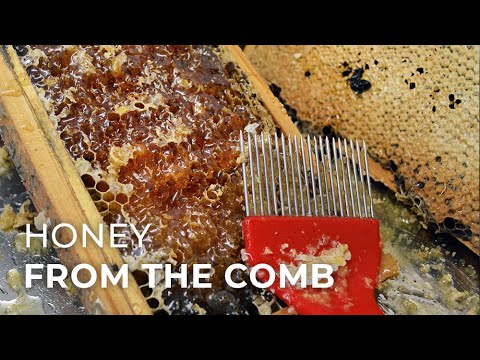 how to harvest honeycomb