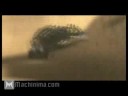 inside-halo-human-vehicles-overview-part-1-of-2.html