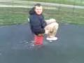 videos de ant on a spring