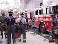 The Lost Dogs (Burn it up)