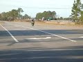 MOV01595 MOV01595