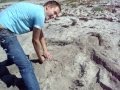 videos de instantporn on the beach