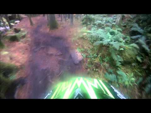 chain reaction cycles