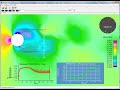 EnSight Transient N3S dataset animation