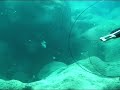www.turkdivers.com
