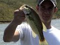Pescaria Black Bass Piracaia Pescaria Black Bass Piracaia