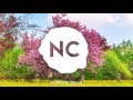 Killercats - Tell Me (feat. Alex Skrindo) | No Copyright Music Killercats - Tell Me (feat. Alex Skrindo) | No Copyright Music